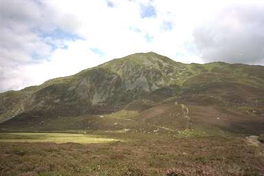 [Image 000890 cd01 img0011]
