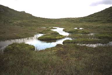 [Image 000895 cd01 img0016]