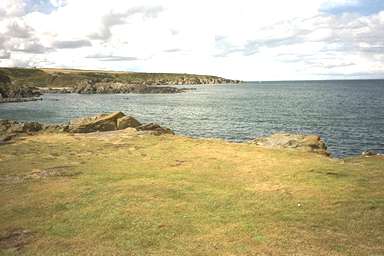 [Image 000907 cd01 img0028]