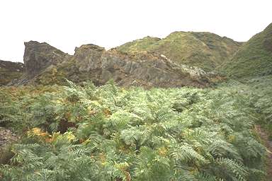 [Image 000910 cd01 img0031]