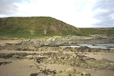 [Image 000911 cd01 img0032]