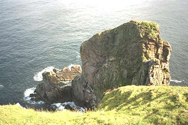 [Image 000920 cd01 img0041]