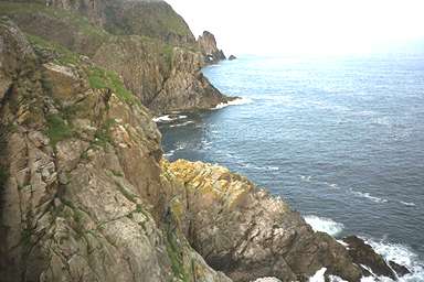 [Image 000925 cd01 img0046]