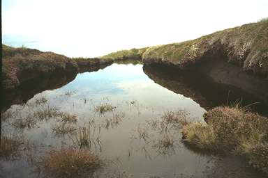 [Image 000927 cd01 img0048]