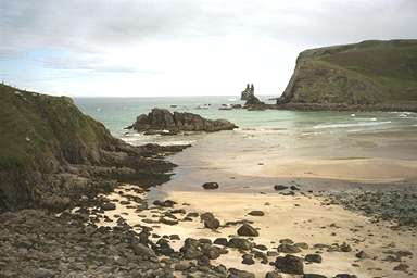 [Image 000934 cd01 img0055]