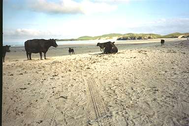 [Image 000938 cd01 img0059]