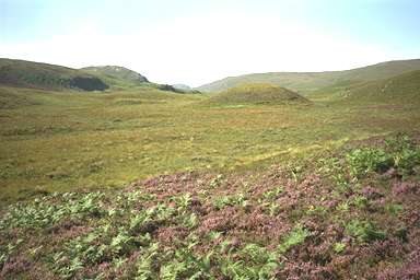 [Image 000949 cd01 img0070]
