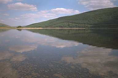 [Image 000978 cd02 img0004]