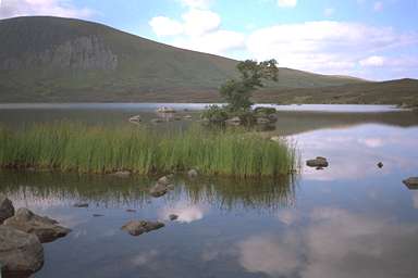 [Image 000983 cd02 img0009]