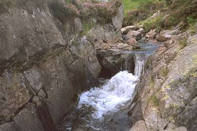 [Image 000984 cd02 img0010]