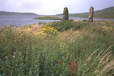 [Image 000991 cd02 img0017]