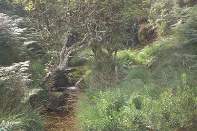 [Image 000993 cd02 img0019]