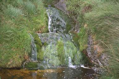 [Image 000995 cd02 img0021]