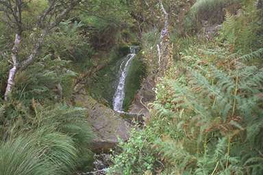 [Image 000996 cd02 img0022]