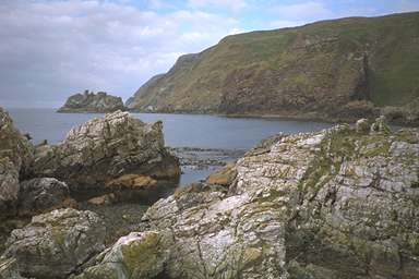 [Image 000998 cd02 img0024]