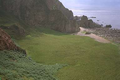 [Image 000999 cd02 img0025]