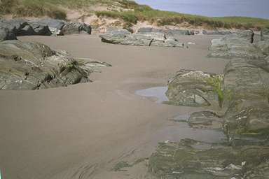[Image 001003 cd02 img0029]