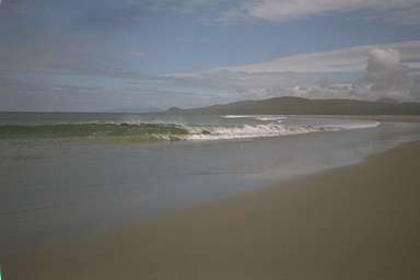 [Image 001005 cd02 img0031]