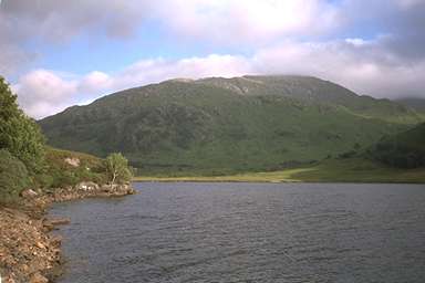 [Image 001009 cd02 img0035]