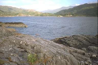 [Image 001010 cd02 img0036]
