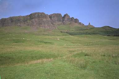 [Image 001019 cd02 img0045]