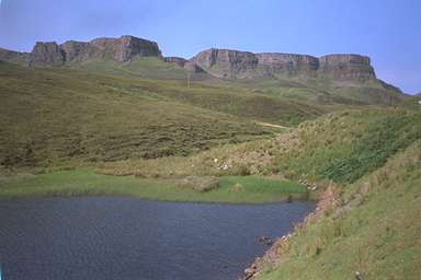 [Image 001025 cd02 img0051]