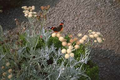 [Image 001034 cd02 img0060]