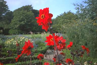 [Image 001035 cd02 img0061]
