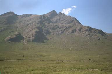[Image 001039 cd02 img0065]