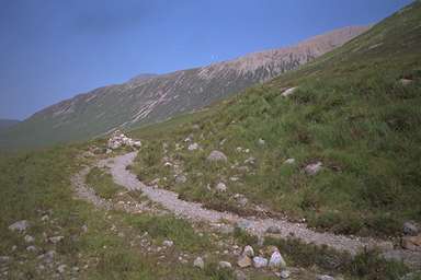 [Image 001044 cd02 img0070]