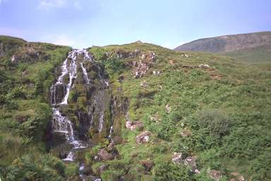[Image 001047 cd02 img0073]