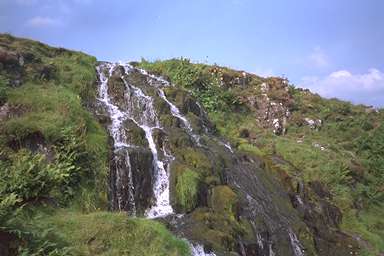 [Image 001048 cd02 img0074]
