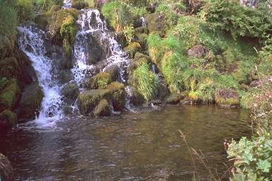 [Image 001049 cd02 img0075]
