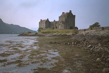 [Image 001077 cd03 img0003]