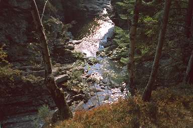 [Image 001080 cd03 img0006]