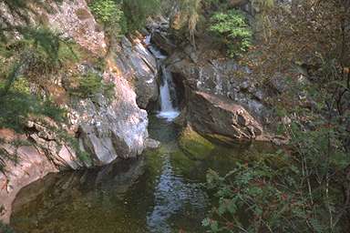 [Image 001081 cd03 img0007]