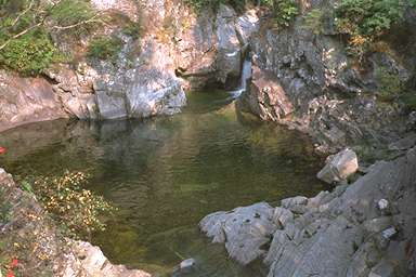 [Image 001082 cd03 img0008]