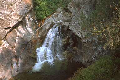 [Image 001083 cd03 img0009]