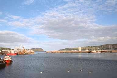 [Image 000747 cd04 img0051]