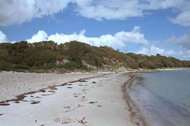 [Image 000757 cd04 img0061]