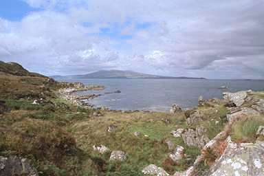 [Image 000762 cd04 img0066]