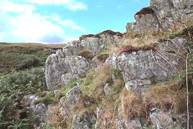 [Image 000763 cd04 img0067]