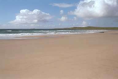[Image 000777 cd04 img0081]