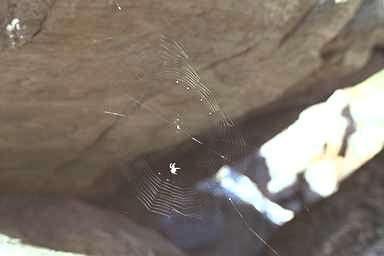 [Image 000784 cd04 img0088]