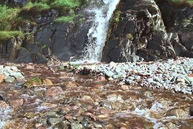 [Image 000794 cd04 img0098]