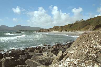 [Image 000808 cd05 img0012]