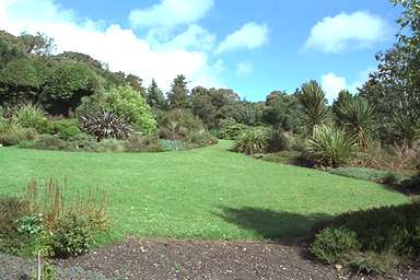 [Image 000809 cd05 img0013]