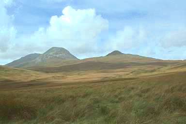 [Image 000813 cd05 img0017]
