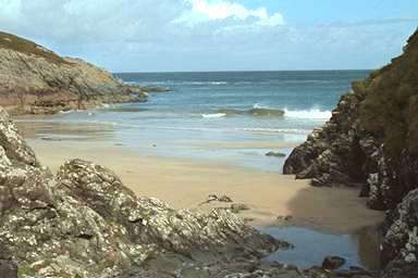 [Image 000820 cd05 img0024]