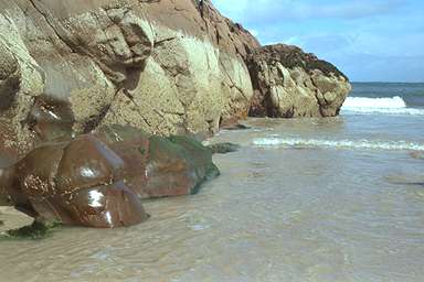 [Image 000823 cd05 img0027]